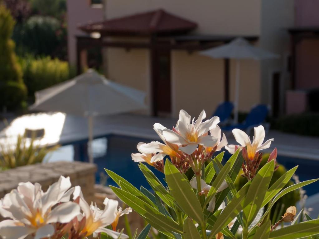 Eligia Villas Mixórrouma Стая снимка